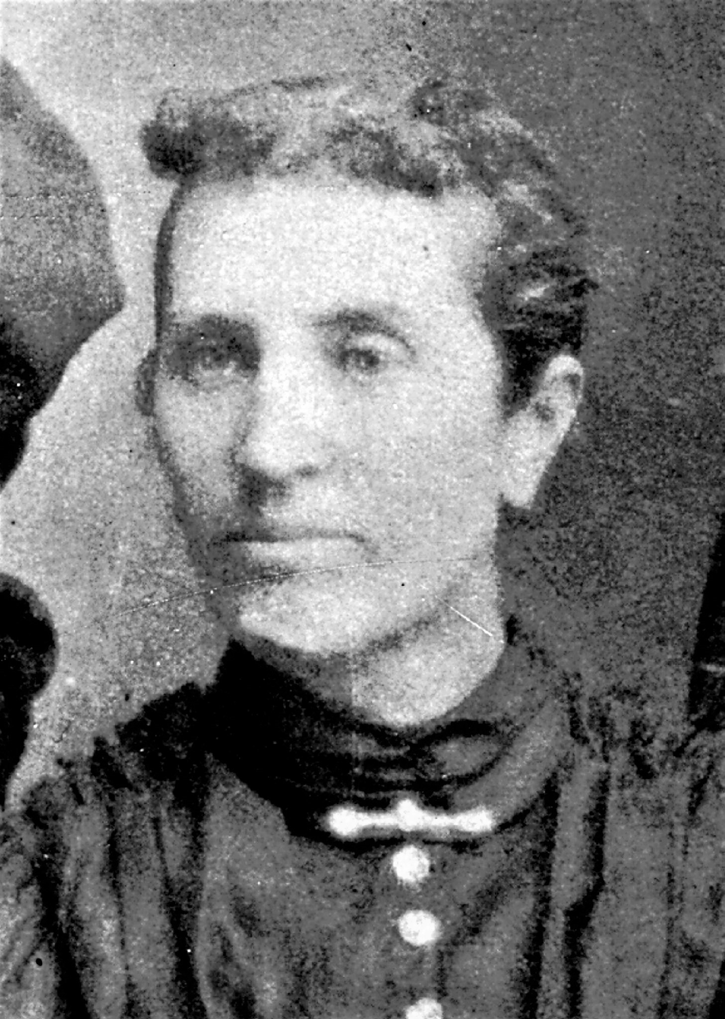 Agnes Taylor (1851 - 1932) Profile